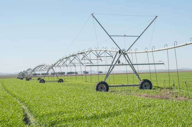 Irrigation series in the nature