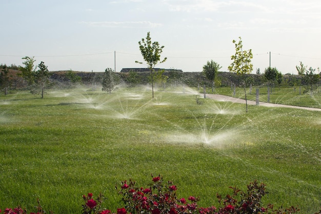 Photo irrigation sistem sprays water onto the lawn area