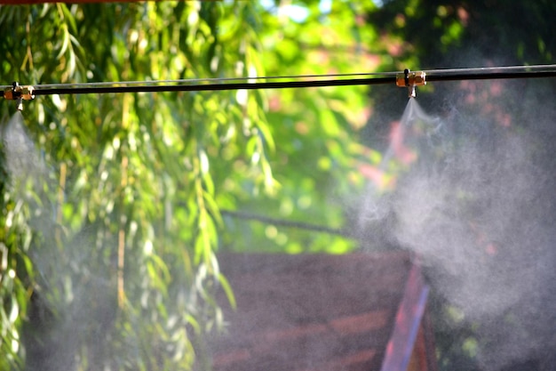 Irrigation system close-up.