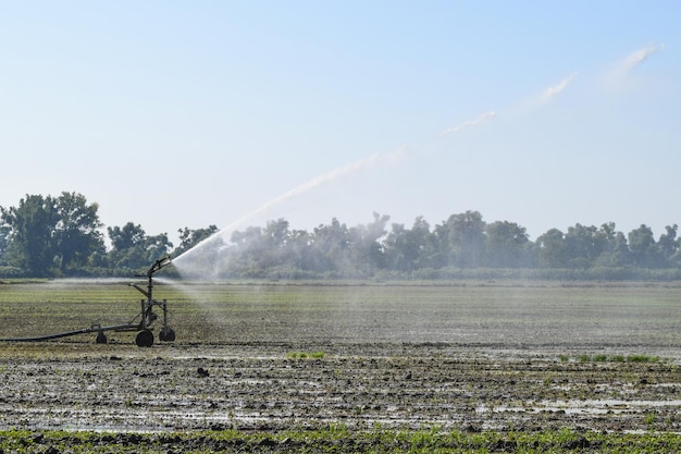 Irrigation system in the field of melons Watering the fields Sprinkler