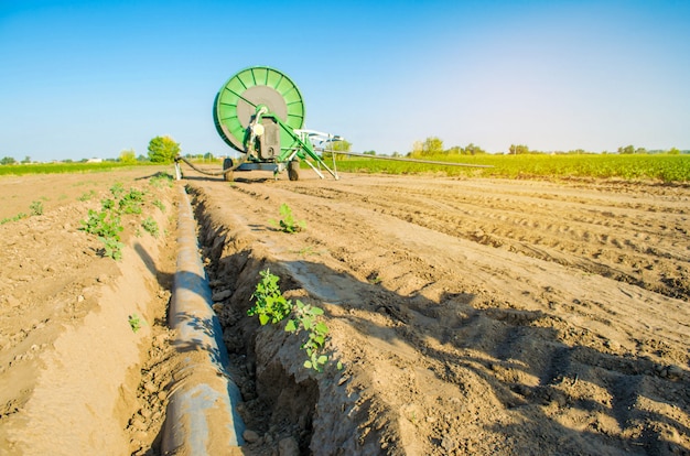 Irrigation system for watering of agricultural crops with a big hose reel. 