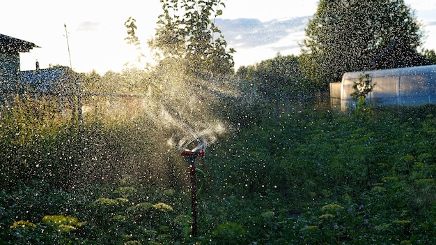 Irrigation system for watering the garden.