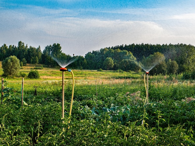 Irrigation system for watering water in agriculture