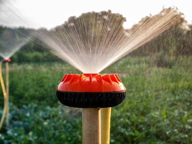 Irrigation system for watering water in agriculture