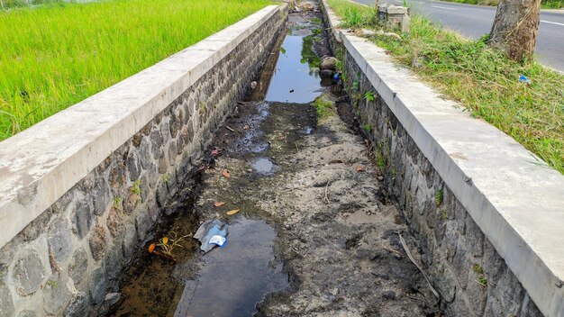 irrigation view in indonesia