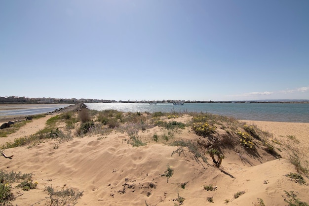 Isla Cristina Huelva Spain The return of the fishing boats to the port