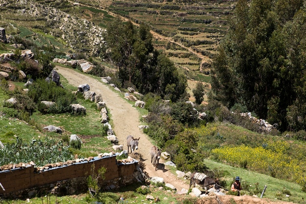 Isla del Sol op het meer van Titicaca