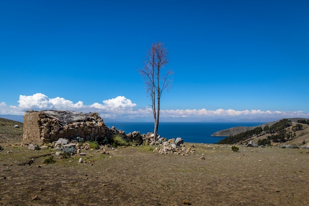 Photo isla del sol on titicaca lake bolivia