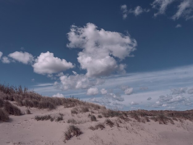 Foto l'isola di ameland nei paesi bassi