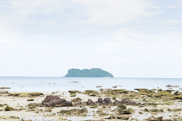 Island and beach sand