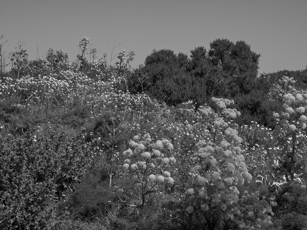 the island gozo