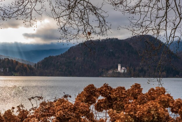 Photo island in lake bled dreamlike atmosphere for the church of s maria assunta slovenia