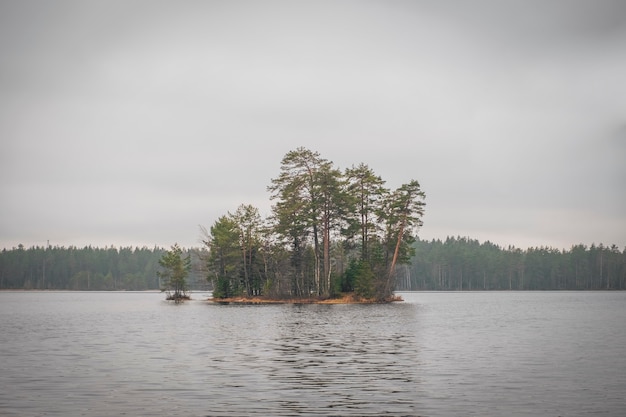 Island on the lake in the woods November, autumn gloomy weather