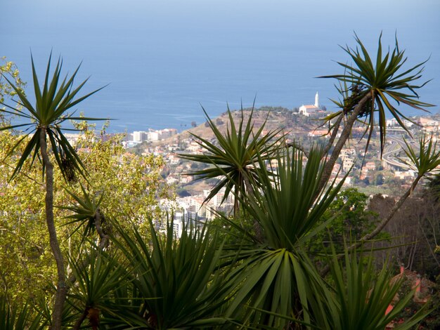 Photo the island of madeira