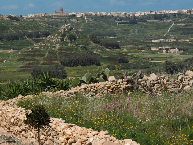 Foto l'isola di malta