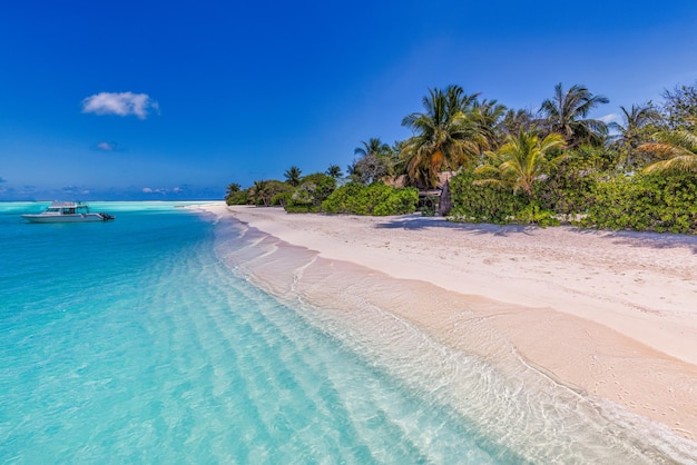 Spiaggia della sabbia del mare della palma dell'isola. paesaggio esotico della spiaggia. ispira l'orizzonte di vista sul mare della spiaggia tropicale