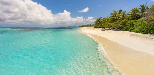 Spiaggia della sabbia del mare della palma dell'isola. paesaggio esotico della spiaggia. ispira l'orizzonte di vista sul mare della spiaggia tropicale