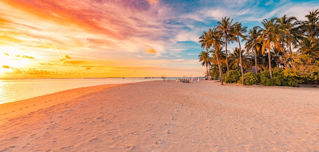 Island palm tree sea sand beach Panoramic beach landscape Inspire tropical beach seascape horizon