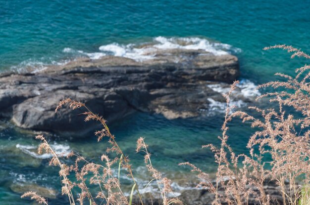 Foto isola nel puked