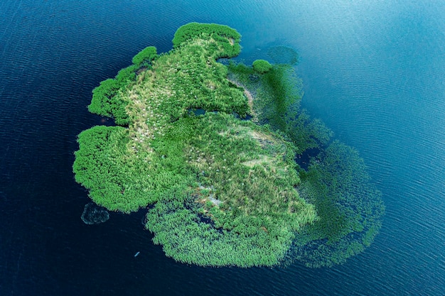 Island on the river