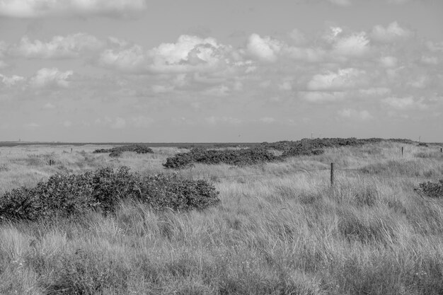 the island of Spiekeroog