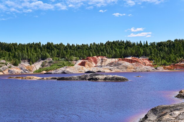 Foto isola dove i gabbiani hanno cominciato a nidificare in mezzo a un lago in una vecchia cava di caolino