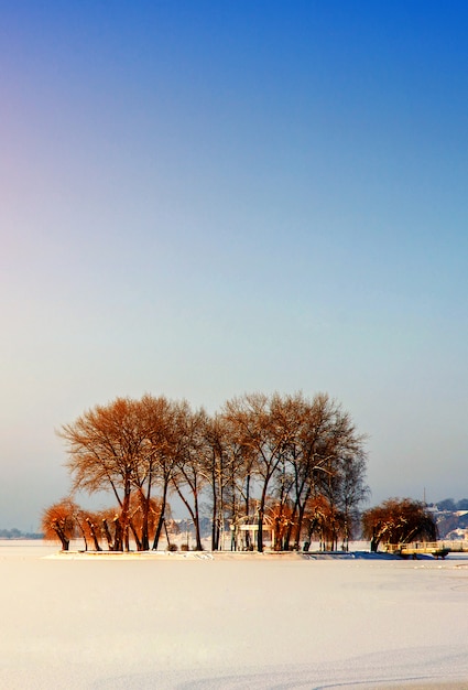 Island with trees in the midst of a frozen lake