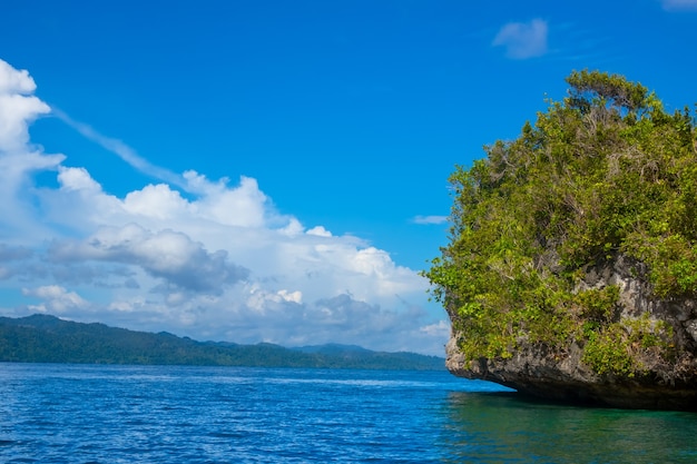 インドネシアの島々。ラジャアンパット。熱帯植物が生い茂る岩だらけの島の端