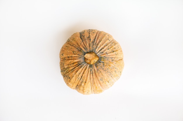 Photo isolate set of pumpkin on white paper