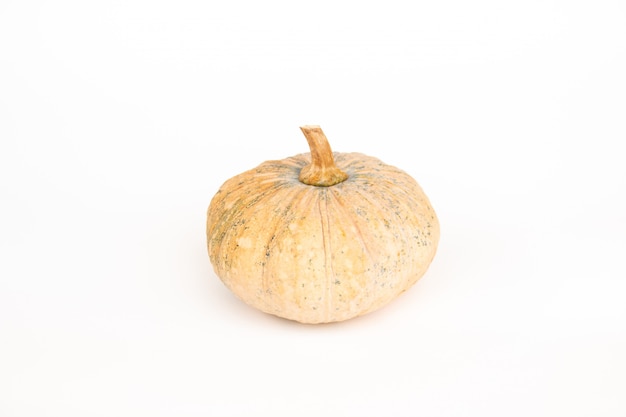 Isolate Set of pumpkin on white paper