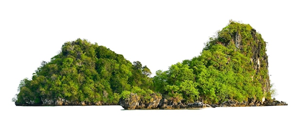 배경에서 분리 된 녹색 바다 흰색 배경의 한가운데에 섬을 분리