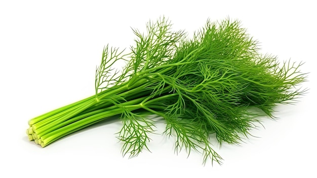 Isolate on a white background fragrant green dill