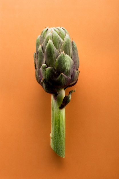 Isolated artichoke over orange background