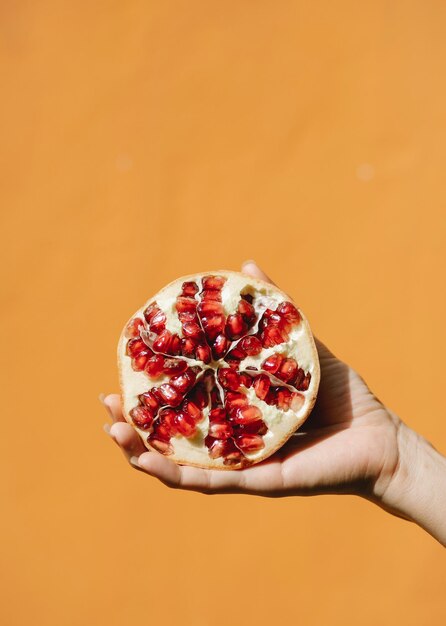 Photo isolated background food