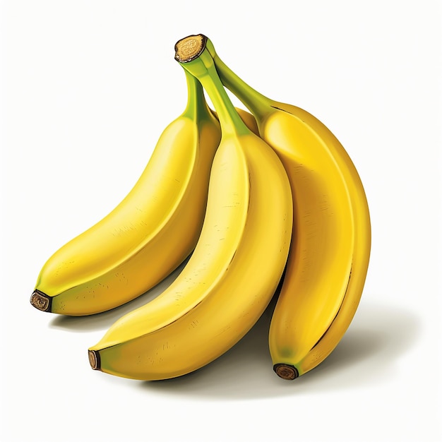 Isolated Bananas White Background Illustration