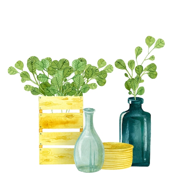 Isolated basket of vines wooden box glass bottle glass vase twigs leaves grass watercolor hand drawn wicker basket boards