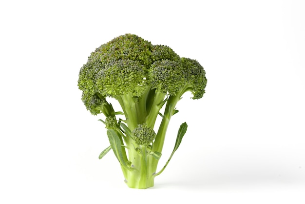 Isolated broccoli on white background