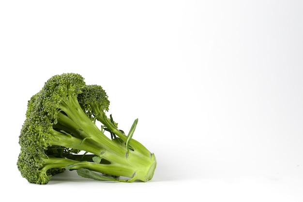 Isolated broccoli on white background