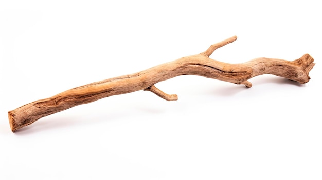 Photo isolated broken stick from tree branch with wooden bark on nature background