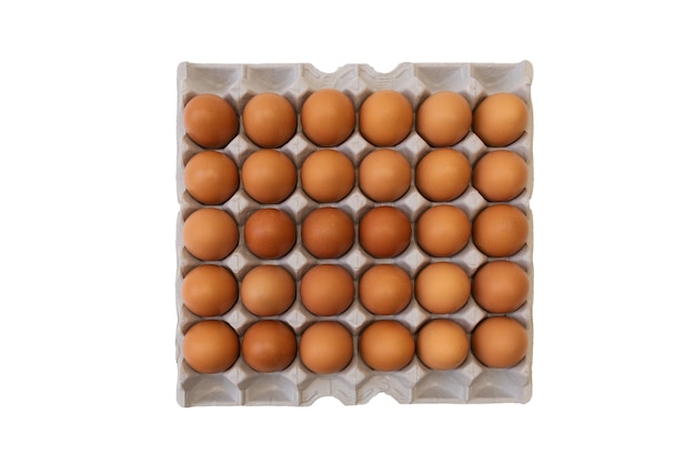 Isolated brown eggs on white background