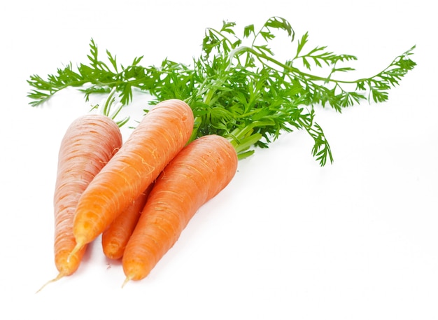 Isolated carrots. Heap of fresh carrots with stems