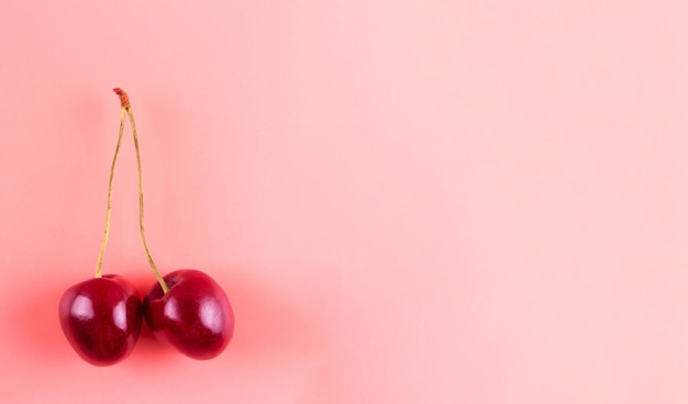 Photo isolated cherries on pink background two sweet cherry fruits close up flatlay macro with copyspace