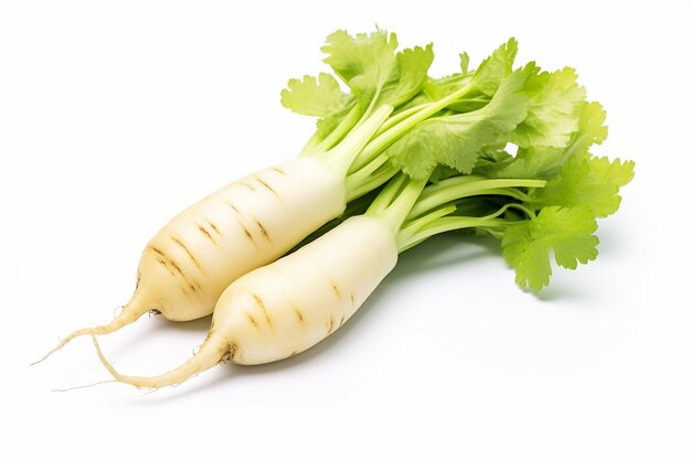 Foto isolato daikon bianco semplicità