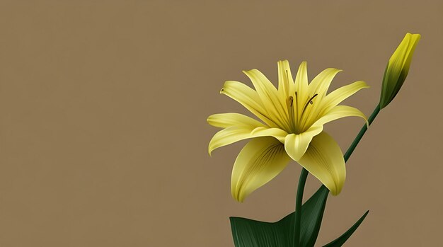 Photo isolated elegance for stylish lily on a white canvas