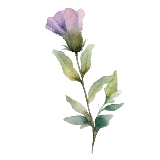 Premium Photo | Isolated flower watercolor illustration in blue color ...