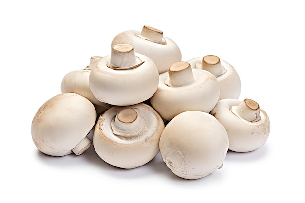 Isolated fresh champignon mushrooms on white background