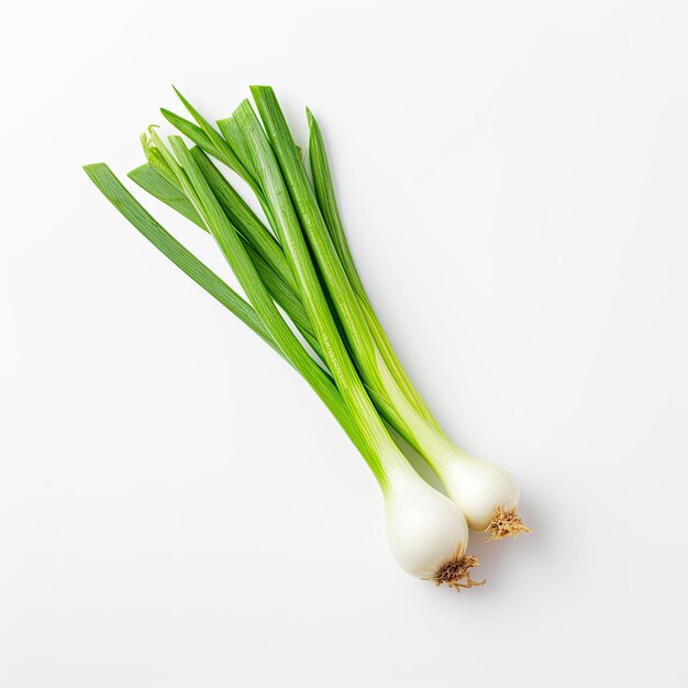 Isolated fresh green onions on white background