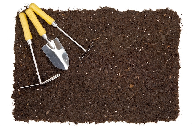 Isolated garden soil background with tools