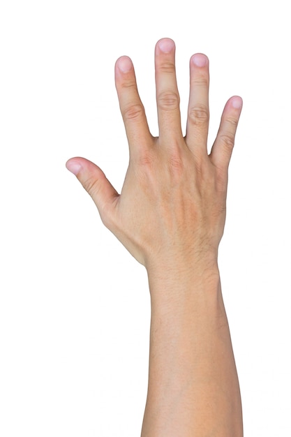 Photo isolated hand on white background