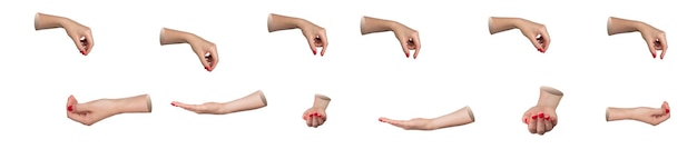 isolated hands set one making a pinching gesture and the other showing an open palm isolated on a